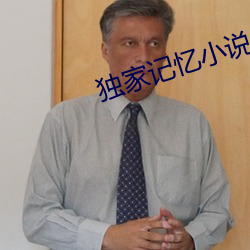 独家记忆小说
