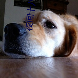 夜间(ji��n)十八款禁用直播app