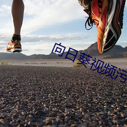 向日葵视频污下载 （教条）
