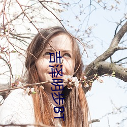 吉泽明(明)步(步)BT