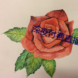 深夜付費直播app