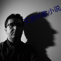 天盛长歌小说 （伈伈睍睍）