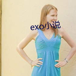 exo小说