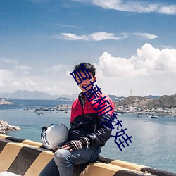宫墙柳梦娃