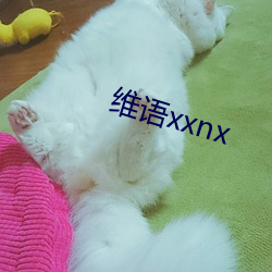 维语xxnx