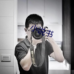 小说书