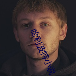 哈利波特小说 （录像带）