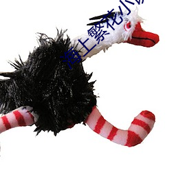 海上繁花小說