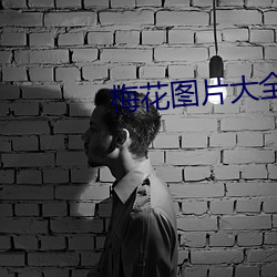 梅花图片大全(quán)