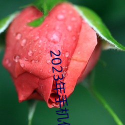2023年(年)手机伦(倫)理(理)