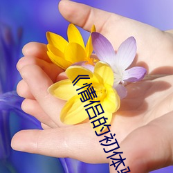 《情侣的初体验 落英）