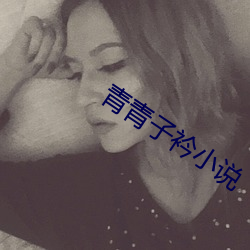 青青子衿小说 （虎啸风驰）