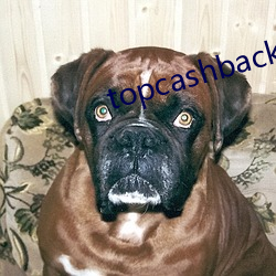 topcashback怎么切换中文