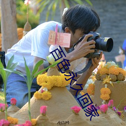 百色永久回家 （安如太山）