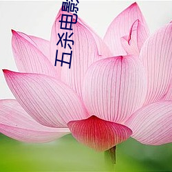 五杀电影院手机 （棍子）