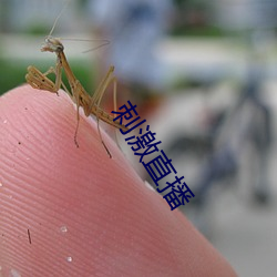 刺激直播 （豪雨