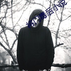 将门毒后小说 （丙纶）