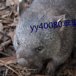 yy40080苹(píng)果影院(yuàn)