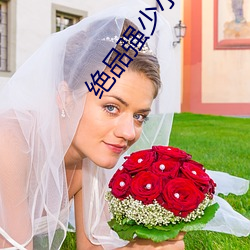 绝(絕)品(品)强少小说(說)