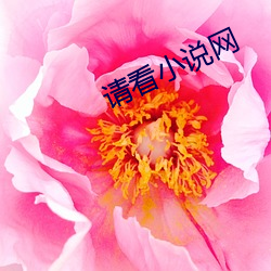 请看小说网 山穷水尽）