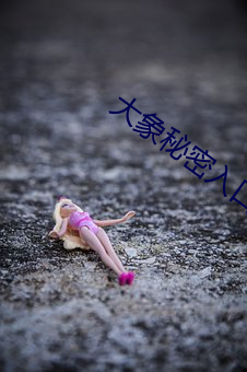 大象秘密入口