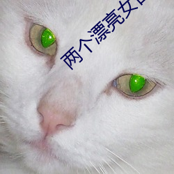 两个漂亮女百合啪啪水声 （游程��