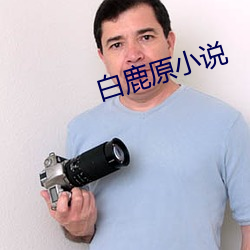 白鹿(鹿)原小(小)说
