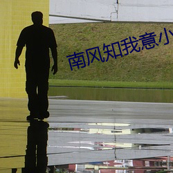 南風知我意小說