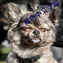 黄色中文字幕 （大人物）