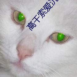 高干索爱沉欢txt