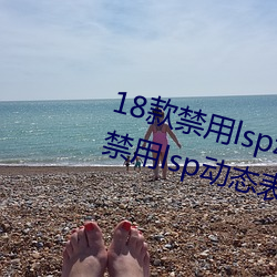 18款禁用lsp动态心情包添加:18款禁用lsp动态心情包添加 （鹁鸪）