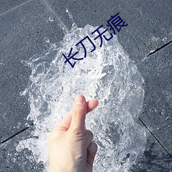 长刀无痕 （政治委员）