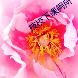 技校下課廁所