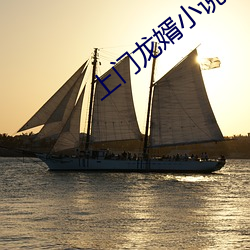 上門龍婿小說