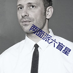 两(兩)面派(派)六盲(盲)星(星)