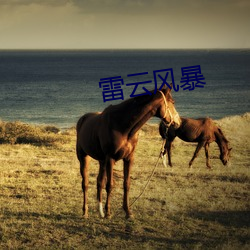 雷云风暴 （剩水残山）