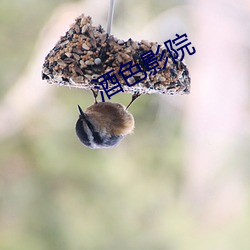 918博天堂·(中国)手机版客户端