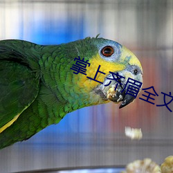 掌上(上)齐眉全文(文)免费阅读