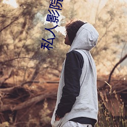 私(sī)人影(yǐng)院沙(sh)发品牌