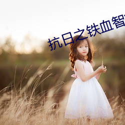 抗日之铁血智将