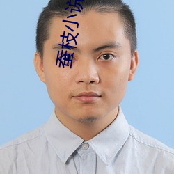 蚕(蠶)枝小说(說)