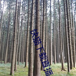 快(kuài)猫下(xià)载直播app
