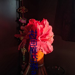 花间堂约茶app