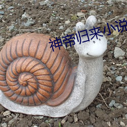 神帝归来小说(shuō)