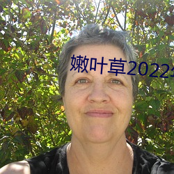 嫩叶草2022年地点