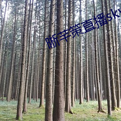 晰芊策直播sky直播 （助力车）