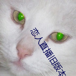 恋人直播旧版本