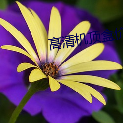 高清机顶盒价格