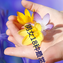 男女18种最常用的姿势图解 正常体位最受女人欢迎(收藏) （龙蛰蠖屈）