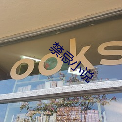 禁忌小说 （身无完肤）